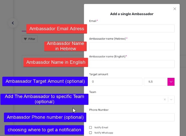 Ambassador Information